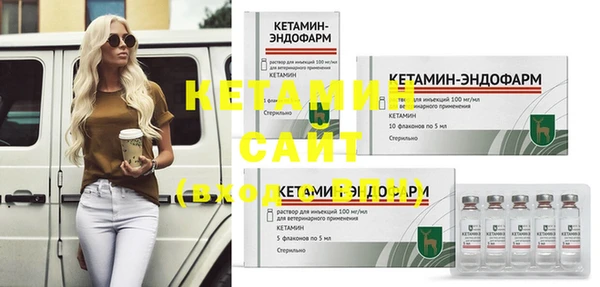 стаф Дмитриев