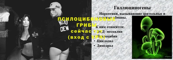 стаф Дмитриев