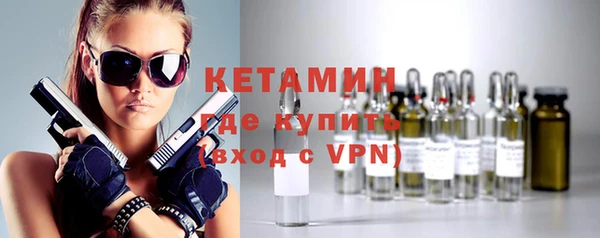 стаф Дмитриев