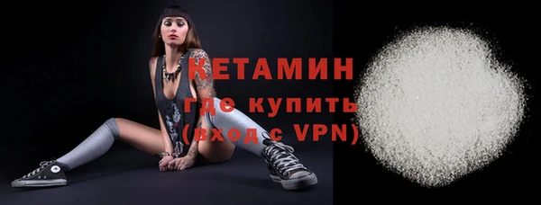 стаф Дмитриев