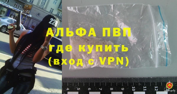 стаф Дмитриев