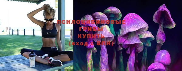 скорость Дмитров