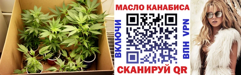 Дистиллят ТГК вейп с тгк  купить  цена  OMG ONION  дарк нет формула  Волгодонск 