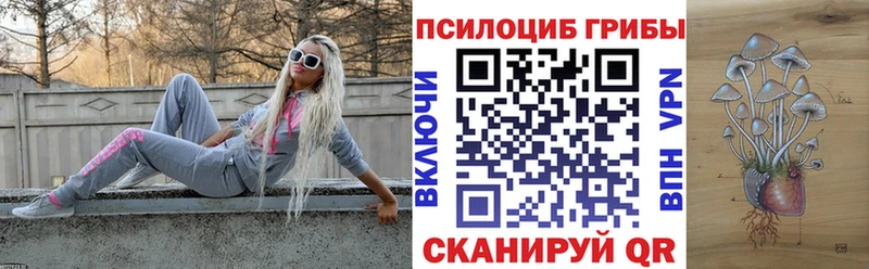 продажа наркотиков  Волгодонск  Псилоцибиновые грибы Psilocybe 
